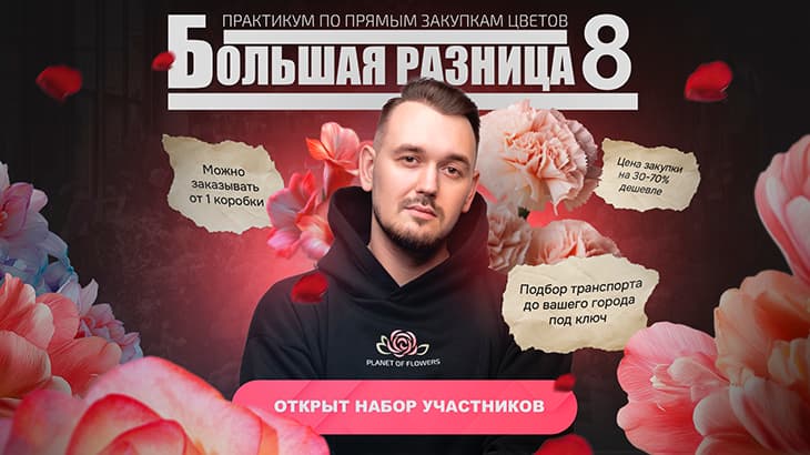 Прямые закупки цветов из Голландии